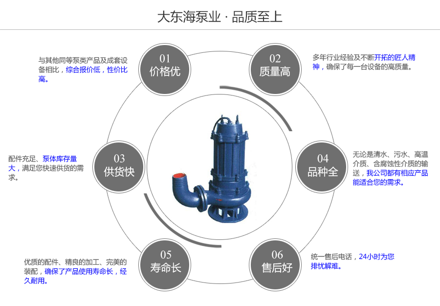 大東海泵業(yè)QW型潛污泵質量保證圖